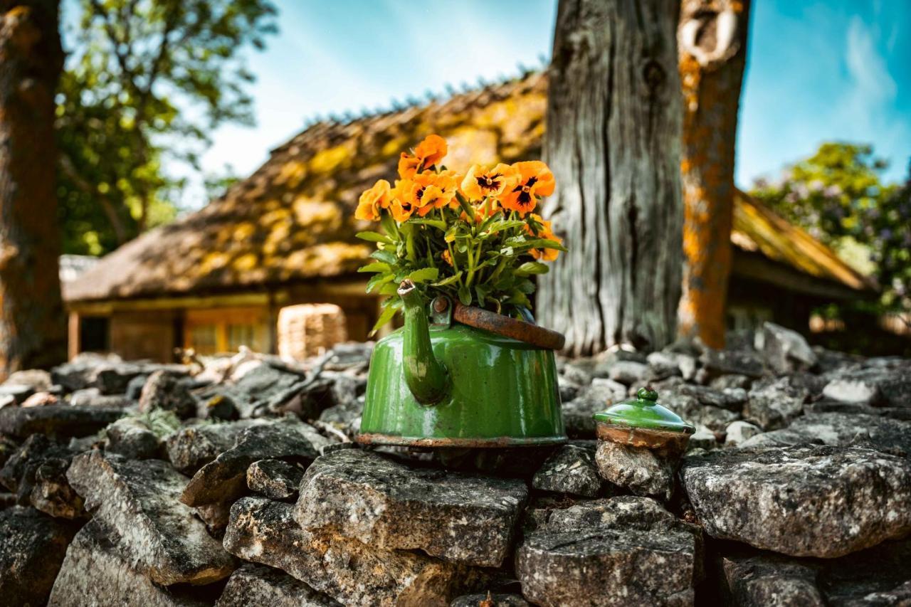 Vanatoa Taluhotell Koguva Екстериор снимка